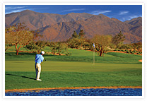 SBR_golfsmall